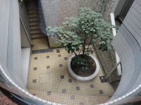 䪉גJ̑ݎWNo.17725̒ݎGgXEݎʐ^